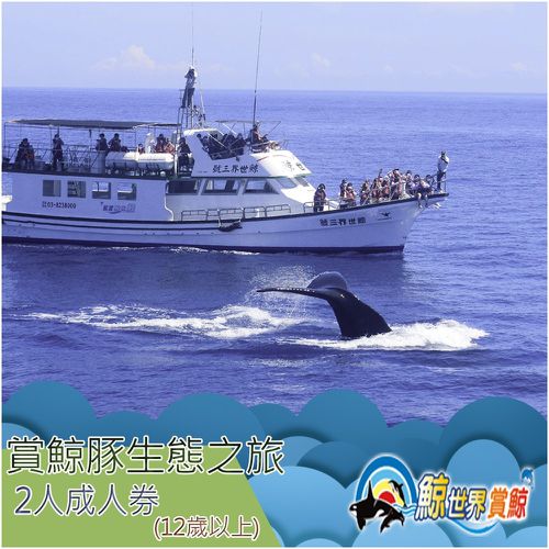 鯨世界 - 賞鯨豚生態之旅成人雙人券