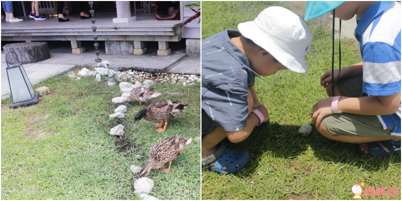彷彿置身日本名園｜宜蘭綠舞國際觀光飯店