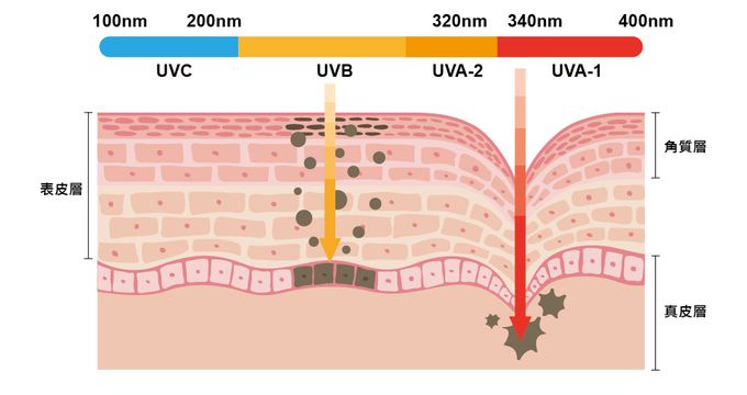 貝柔 Peilou - UPF50+光肌美顏遮陽帽-粉紅