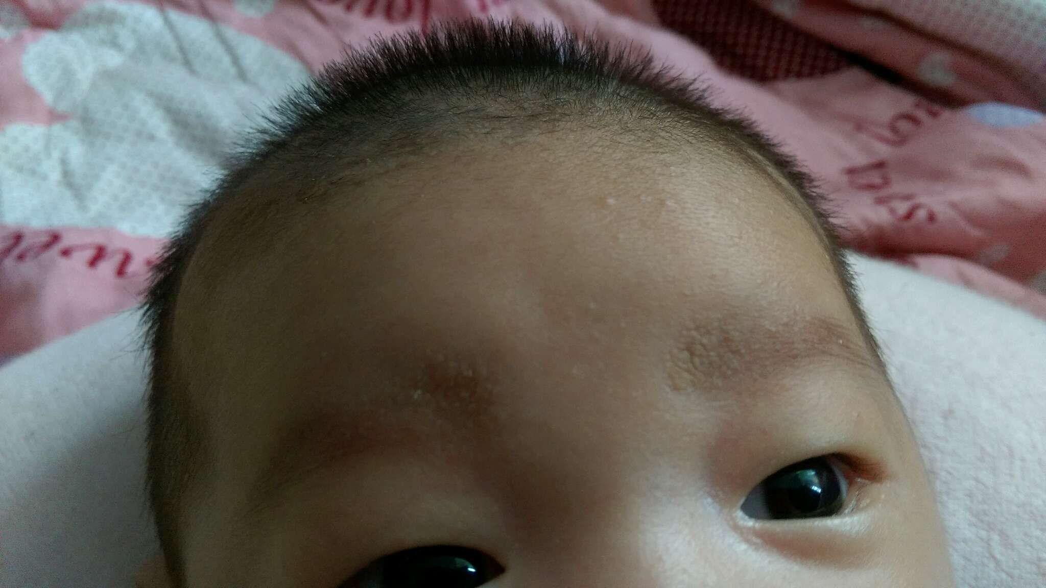 有可以跟我說寶寶的眉毛是什麼？他的頭髮也有耶