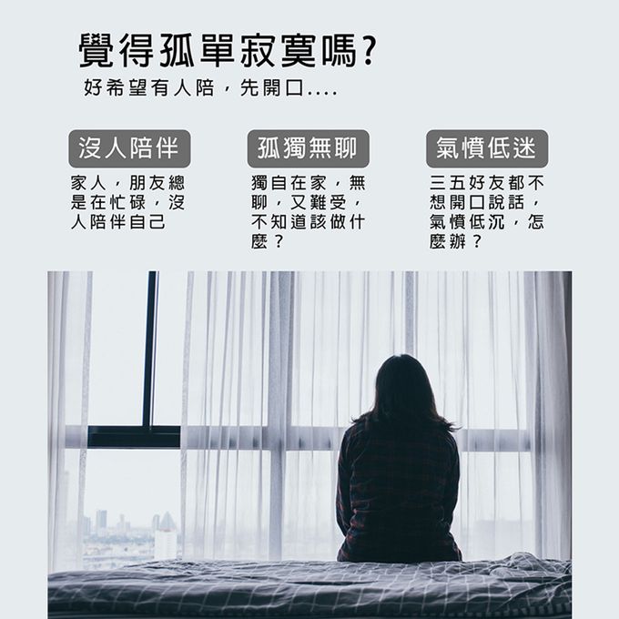 仙人掌跳舞機-波西米亞