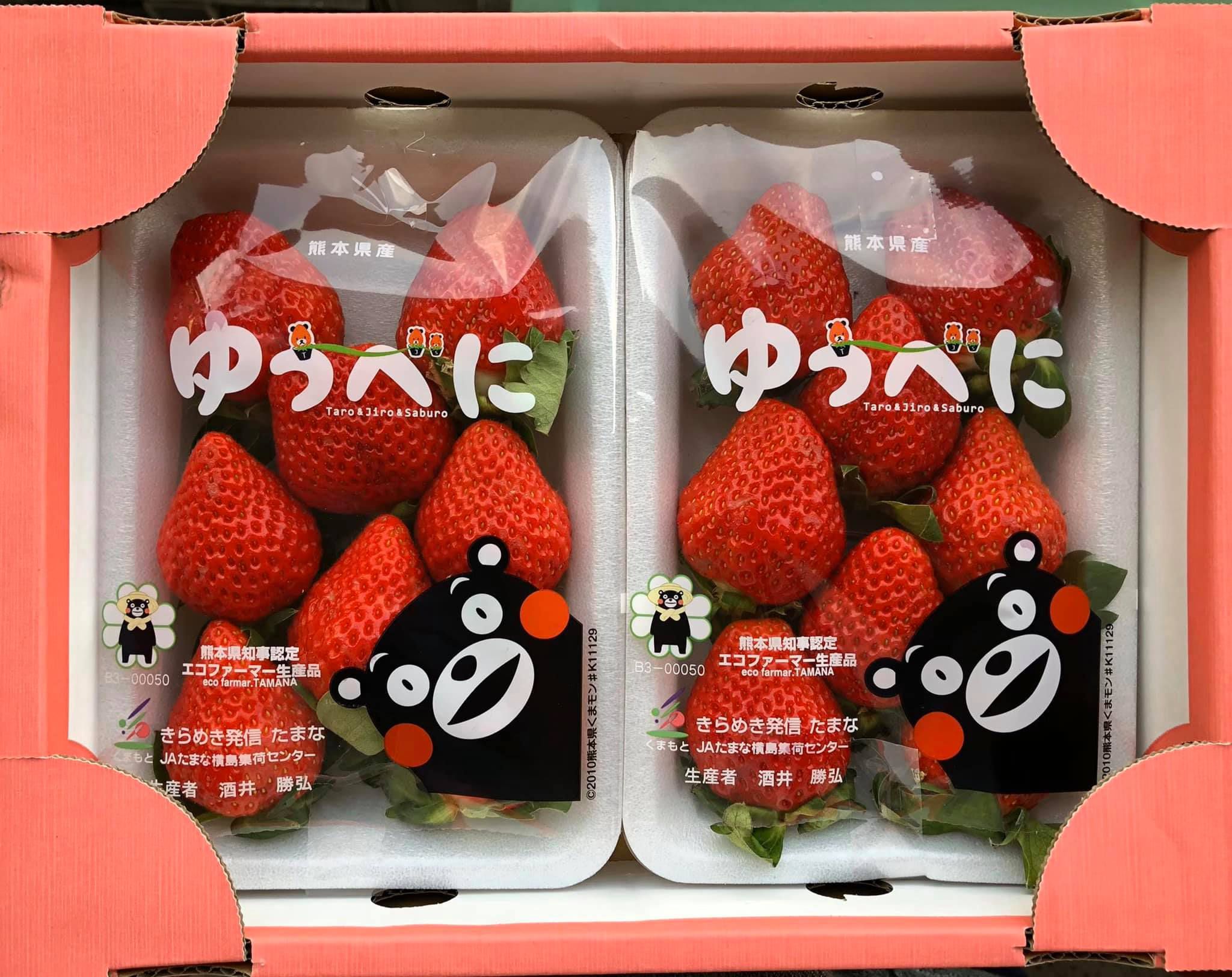 草莓界的夢幻逸品！熊本草莓空運直送 ❤ 濃濃甜香、果肉飽滿細緻