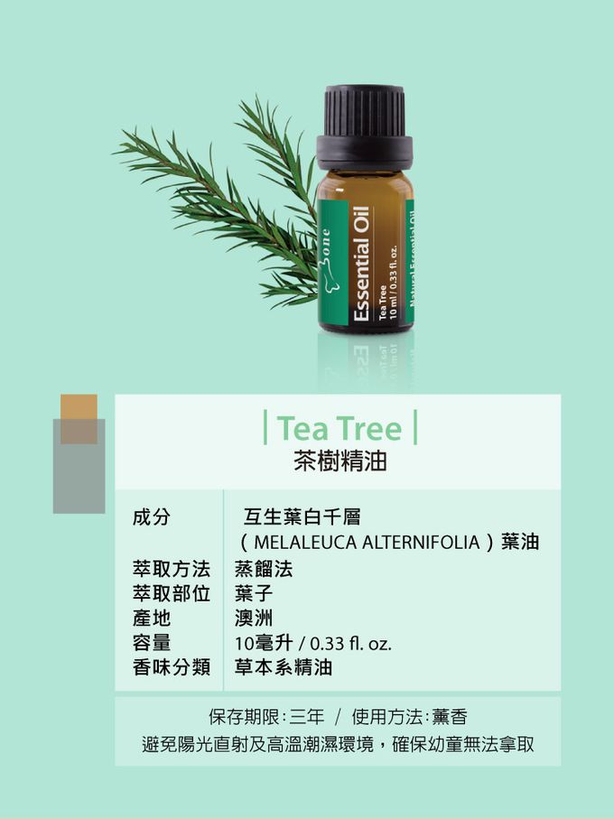 Bone 蹦克 - 迷你公仔擴香禮盒-貓頭鷹衛斯+茶樹精油