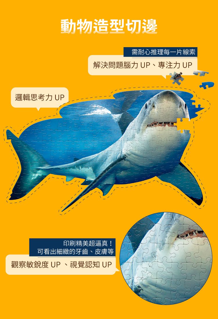 Madd Capp - I AM 動物拼圖-100,我是大白鯊
