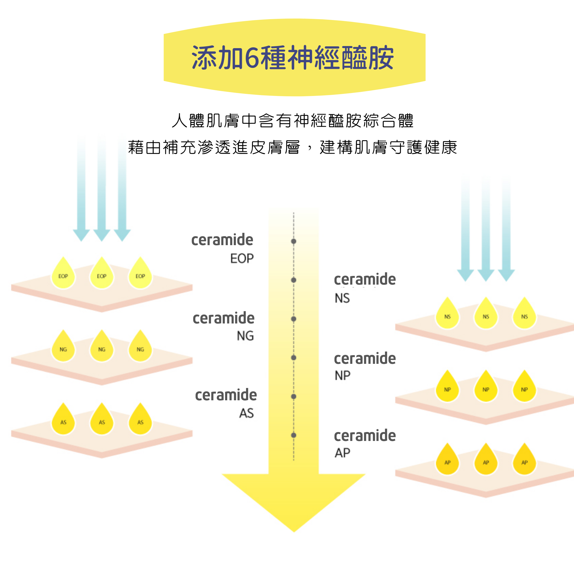 韓國 mongdies - 神經醯胺寶寶爽身乳液-100g
