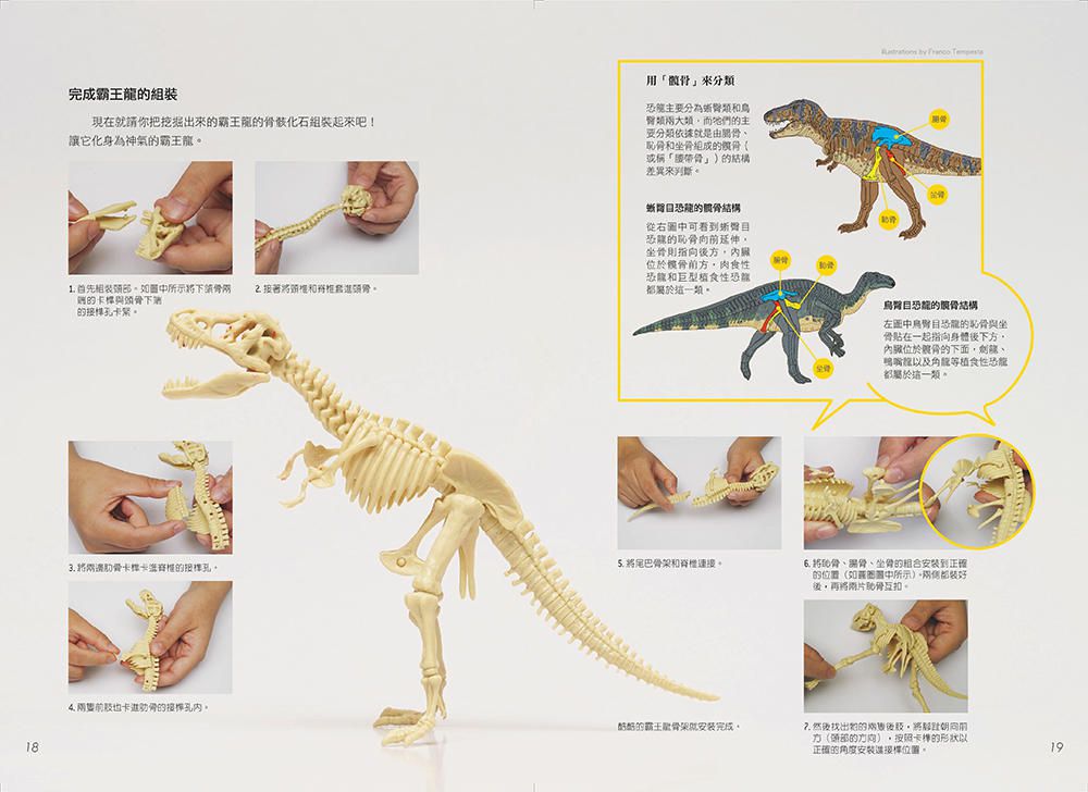 國家地理科學盒子：重現霸王龍 (盒裝 / 全彩印刷)