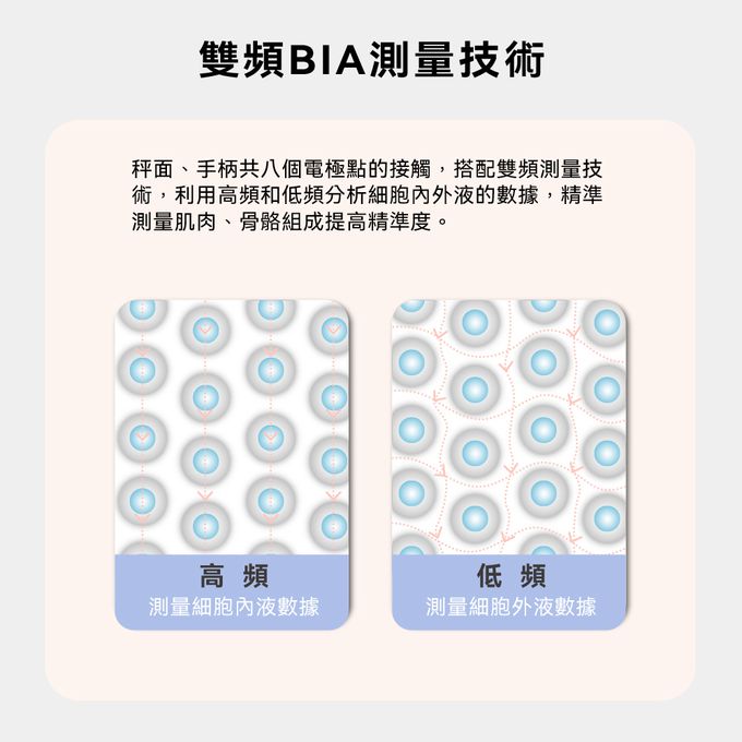 八點電極傳導，上下身多段式測量更精準