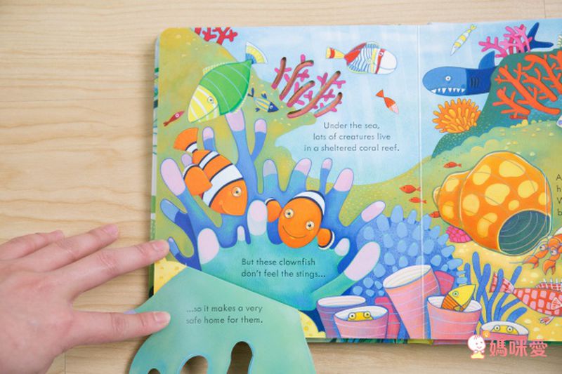 下殺42折！六本精裝只要 $999 ✦ 英國 Usborne ✦ Peep Inside 系列