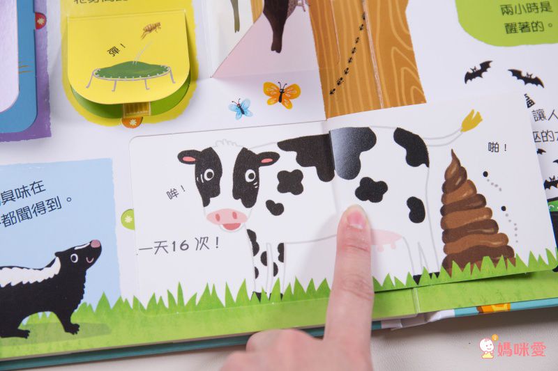 ★打造聰明好腦袋★益智翻翻小百科 / 童趣推拉轉操作書大集合！