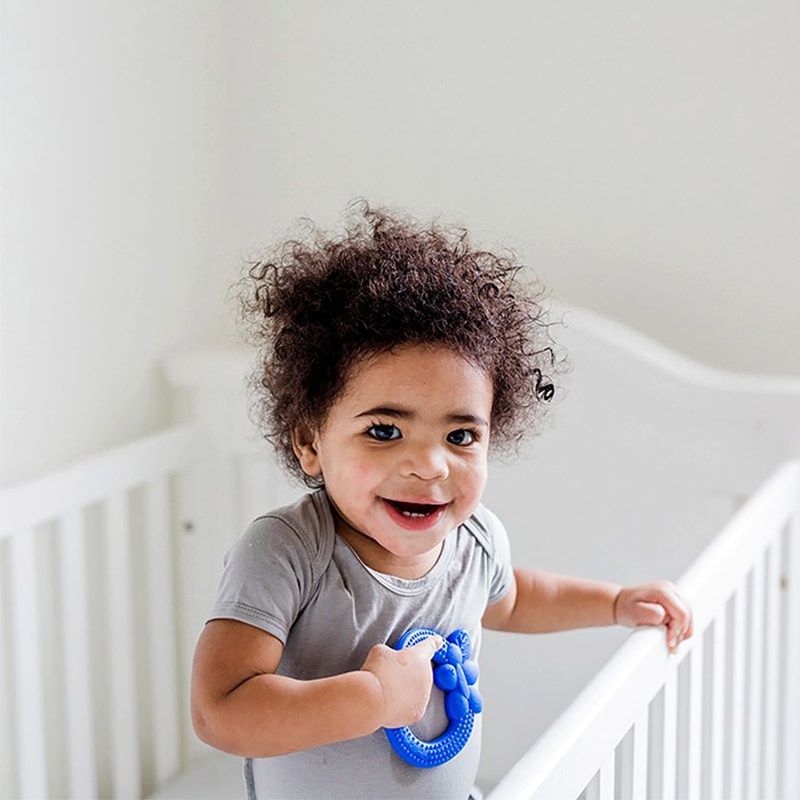 美國 green sprouts - 小綠芽食品安全等級矽膠固齒器-藍漿果