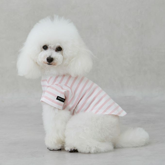 日本 petit main - [低價]接觸冷感 條紋短袖上衣-藍x白