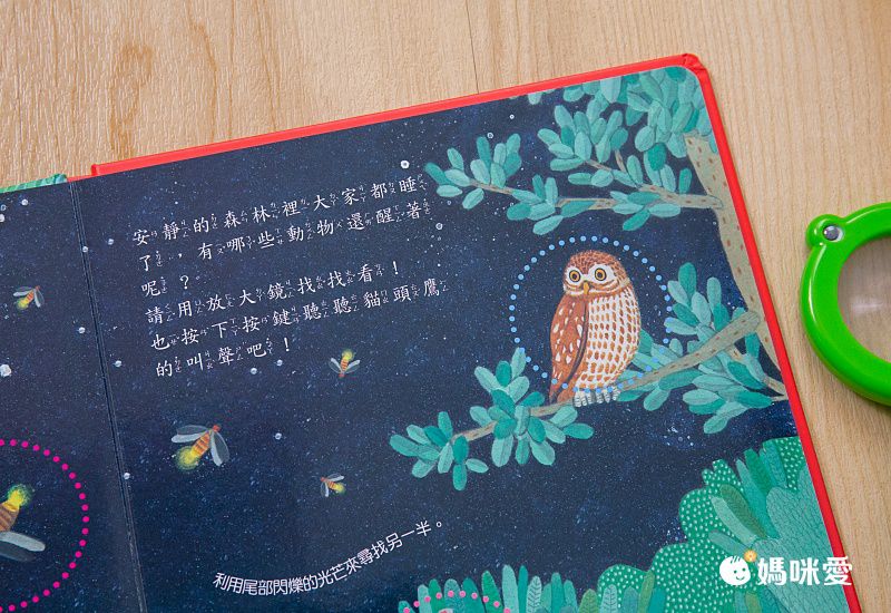 放大鏡有聲書-自然觀察