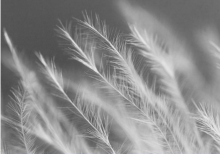 暖暖羽絨外套(90%鴨絨)-黑色