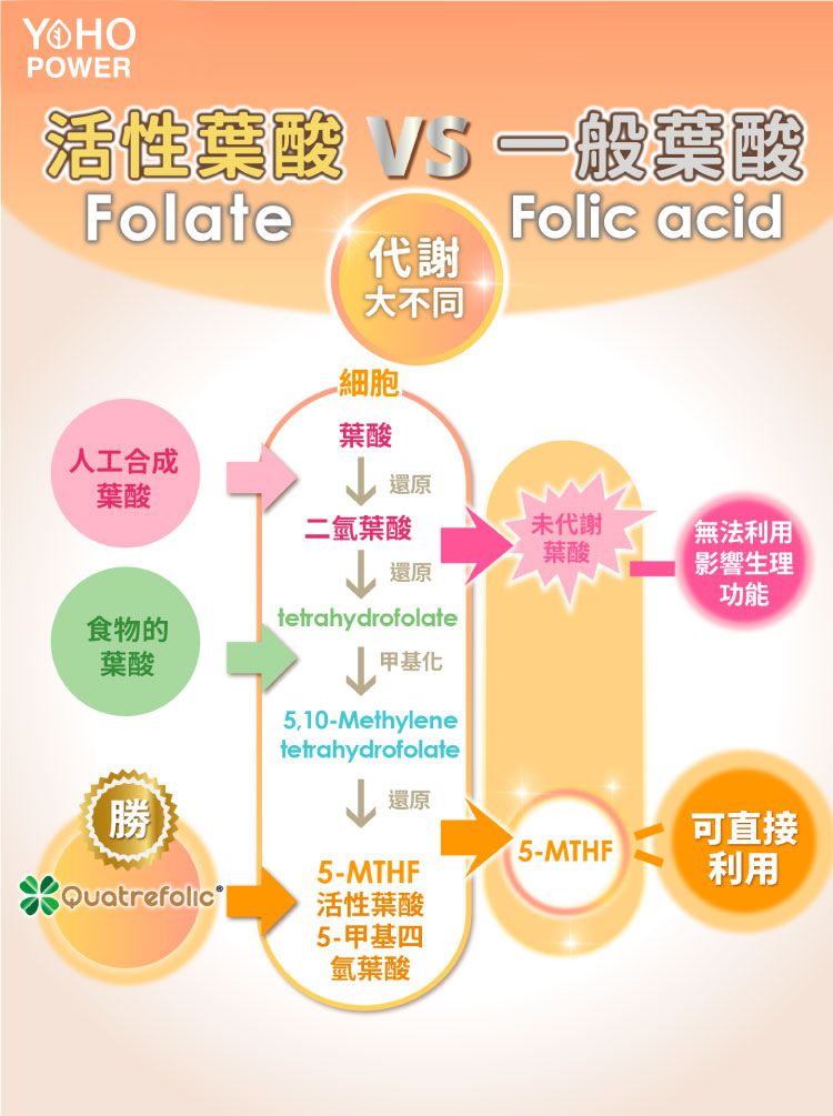 悠活原力 - 悠活超級葉酸+鐵(甘氨酸亞鐵)植物膠囊(60粒/瓶)+原力維生素D3素食內服液(30ml/瓶)