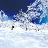 用戶頭像
