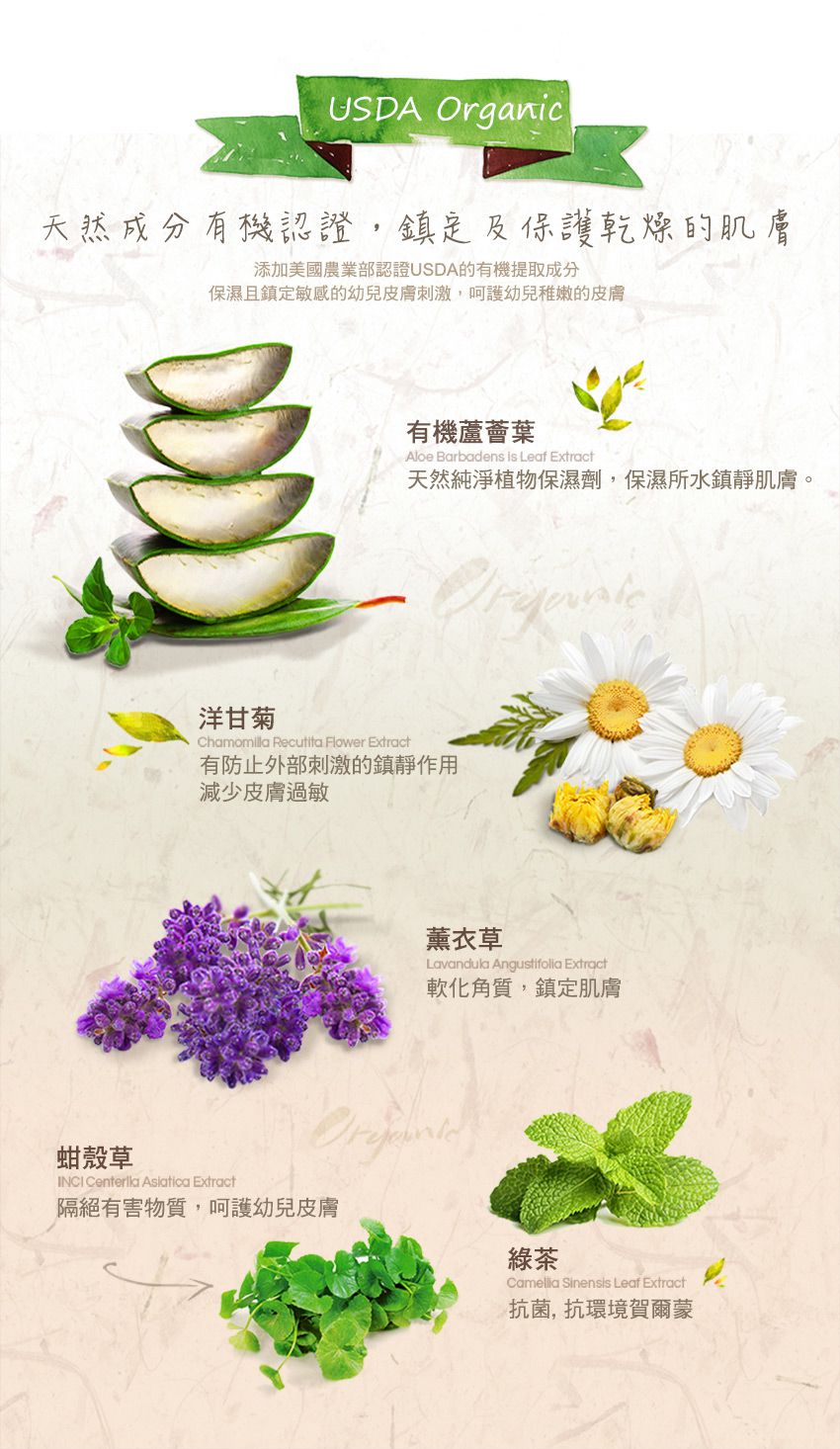 MOTHER-K - 有機植萃蔬果奶瓶清洗液-補充包-500ml