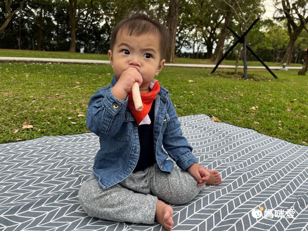BEBECOOK 寶膳 - 嬰幼兒初食綿綿貝貝棒-紫番薯(7M+)-30g