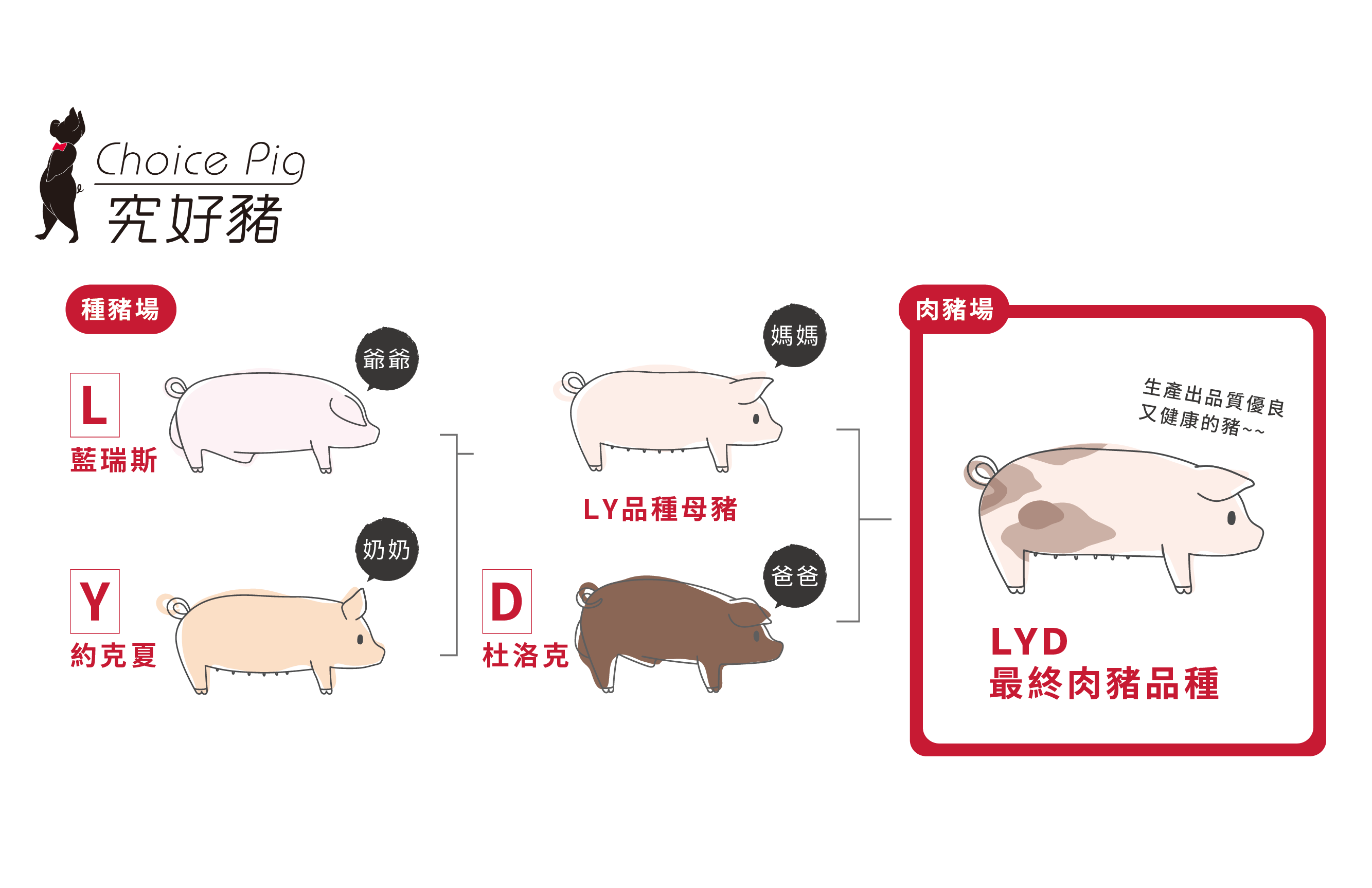 頂級餐廳指定使用【雲林 究好豬】教父牛排 饗饗 旭集選用