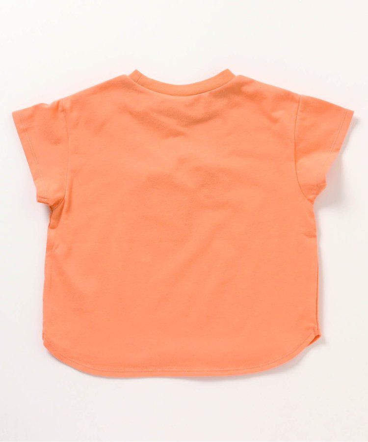 日本 apres les cours - 立體刺繡印花短袖上衣-冰棒-袖撞色