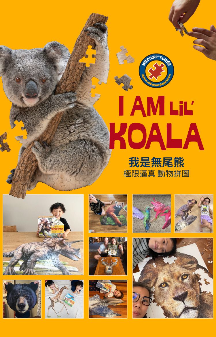Madd Capp - I AM 動物拼圖-100,我是無尾熊