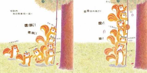 小瓢蟲中英雙語系列 ★啟蒙認知五書組★ 0歲開始看，依寶寶視覺發展階段設計！