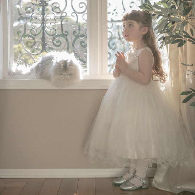 日本 Catherine Cottage - 夢幻層次蝴蝶結洋裝/小禮服-氣質銀