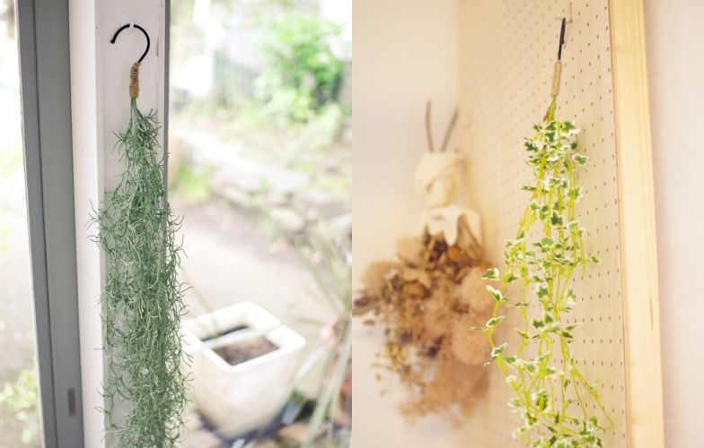 日本 KISHIMA - CT觸媒 消臭仿真植物掛飾-西班牙苔蘚 (18x15x90cm)