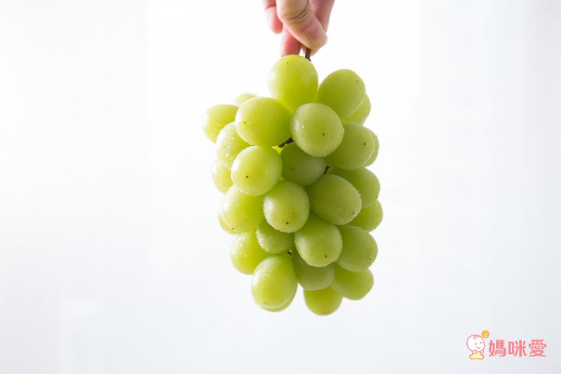 【日本空運直送麝香葡萄】✧中秋精緻送禮✧今年僅此一檔！