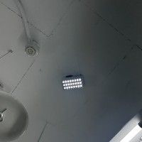 歆