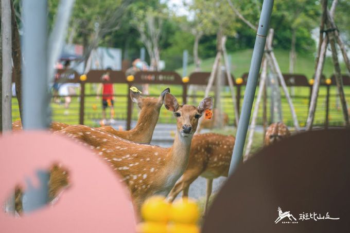 斑比山丘 Bambi Land - 免預約門票+拉布鑰匙圈-自開票日算起一年 (12個月) 之內使用有效
