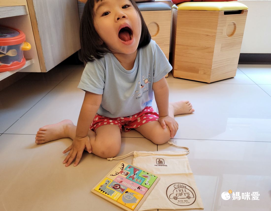 iQ House - 益智七巧板-幾何魔術師