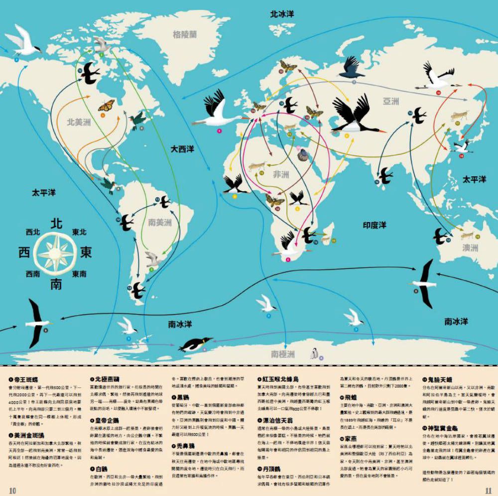 動物界的大旅行家 (精裝 /48頁 /全彩印刷)