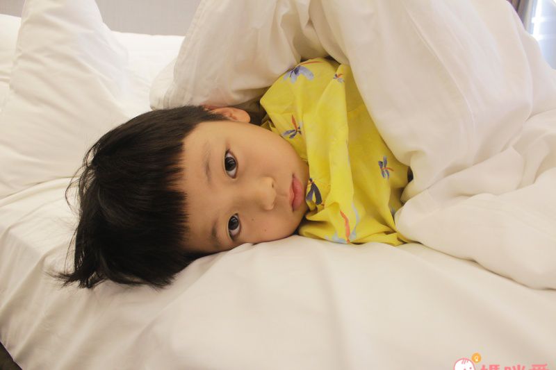 彷彿置身日本名園｜宜蘭綠舞國際觀光飯店