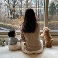 用戶頭像