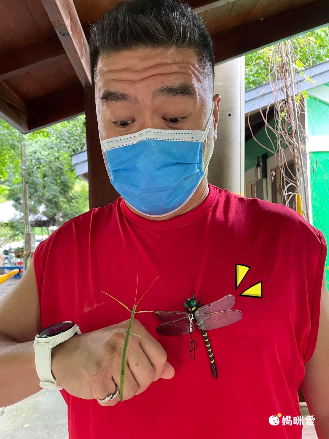 日本代購 - 超仿真蜻蜓君別針/吊飾-無霸勾蜓-黑x黃 (12x10.5cm)