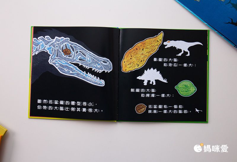 眼見不能為憑！【錯覺偵探團】利用錯視原理打造的偵探讀本