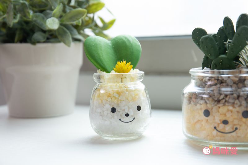 日本 KISHIMA - CT觸媒 開運消臭仿真多肉盆栽-貴人運-Mina (S(5x7.5x11cm))