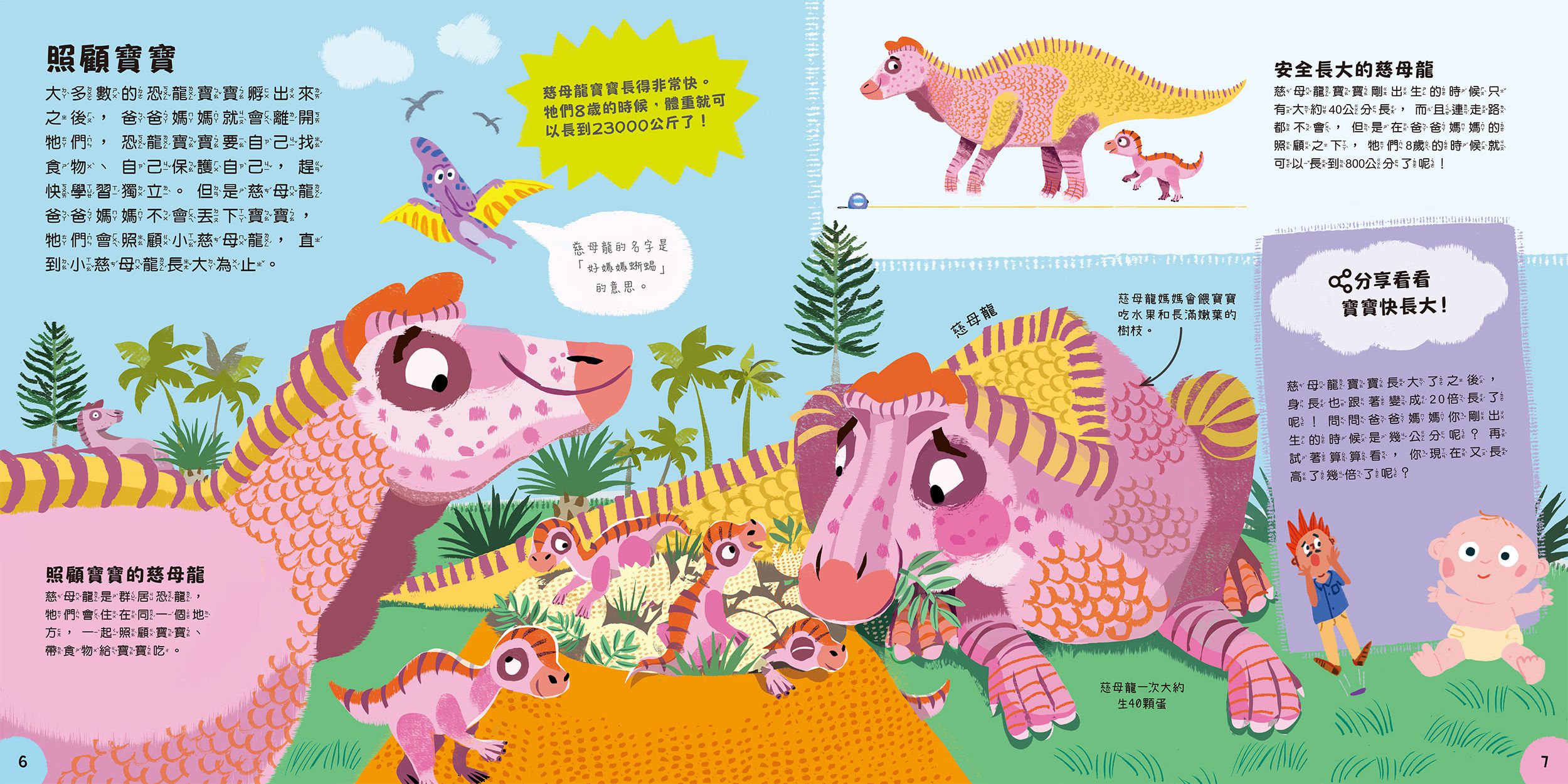 小小知識家的百科書套書10冊(書盒版)