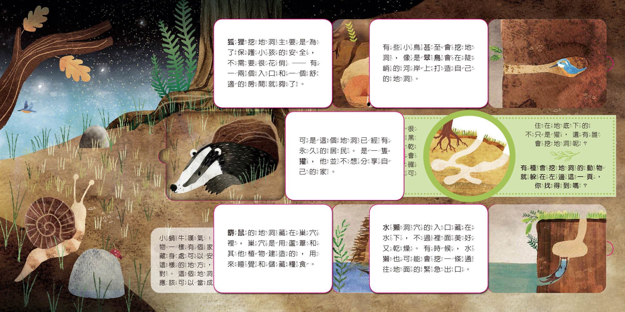 動物小知識翻翻書：這是誰的家？