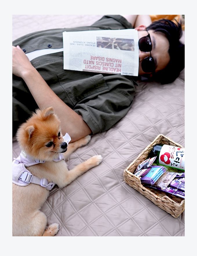 SHANER - 露營美學加厚防潮墊