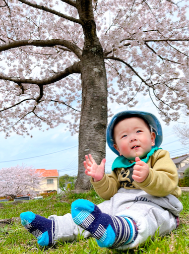 用美麗櫻花結束母親節～