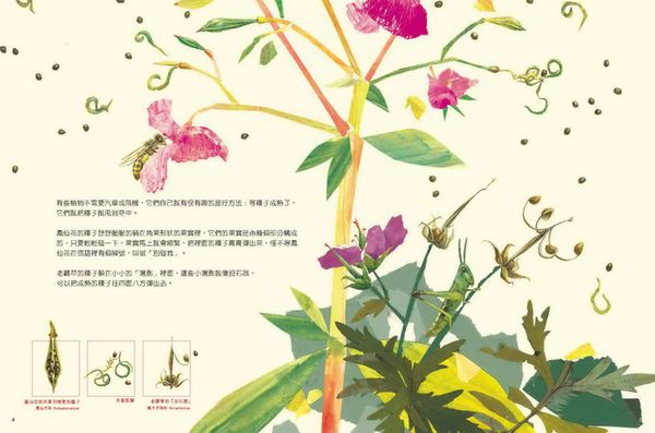 一顆種子的旅行