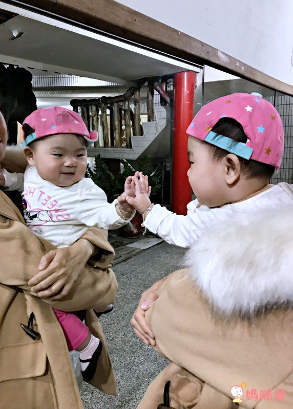 美國TRUMPETTE 造型假鞋襪