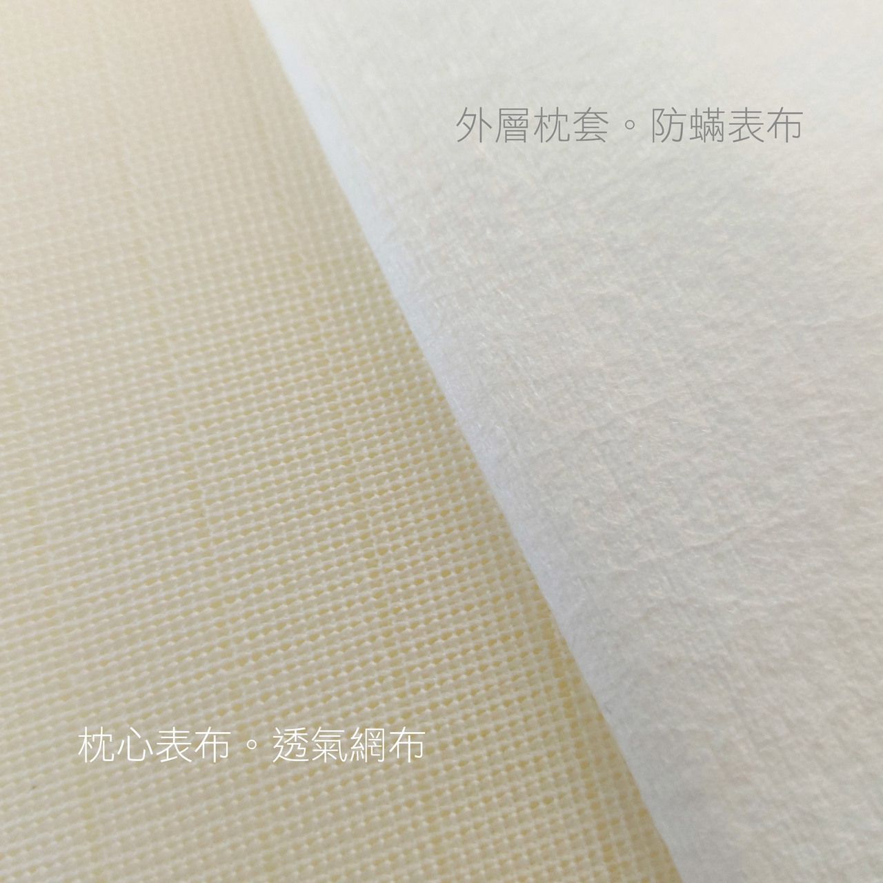 Fotex 芙特斯 - 【防蟎記憶枕】柔雲款(一對2顆)含外層物理性防螨套 釋壓枕頭 過敏患者專用 (64x40x12cm)