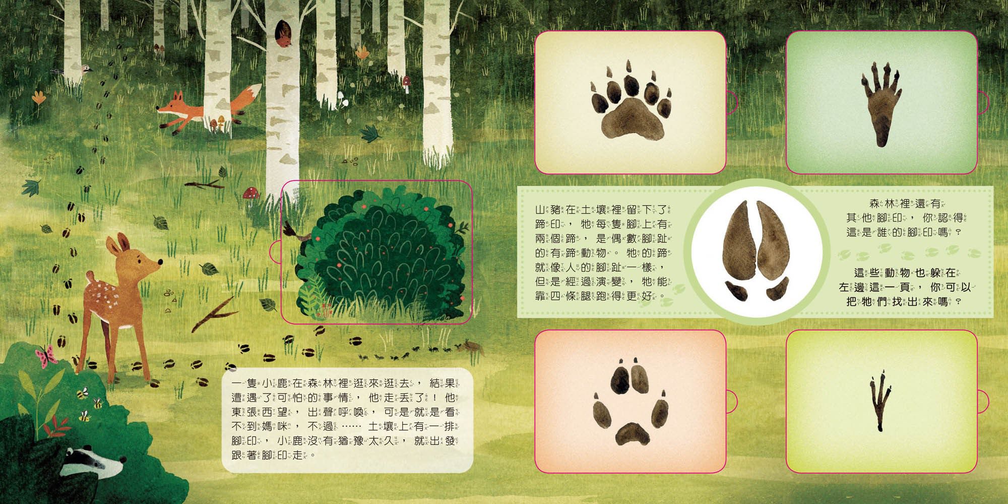 動物小知識翻翻書：這是誰的腳印？