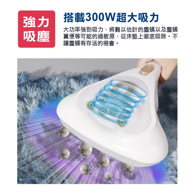 超大吸力，有效除蟎     