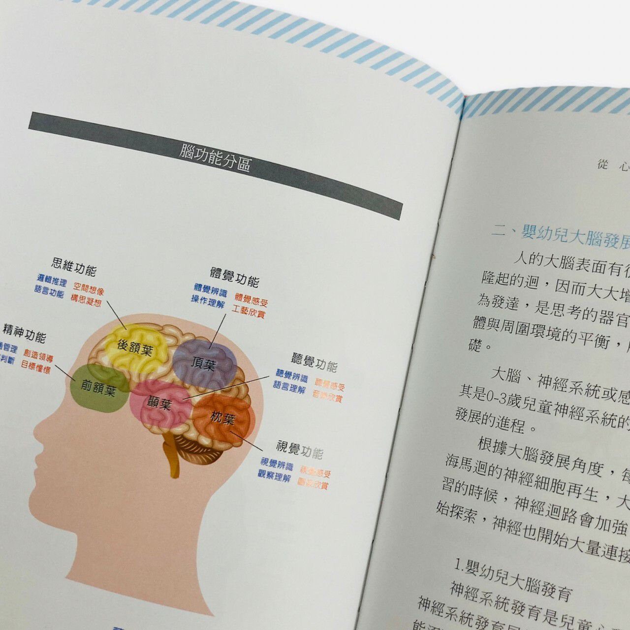 我的第一本育兒胎教寶典~從孕期開始到0歲教育的胎教必讀書