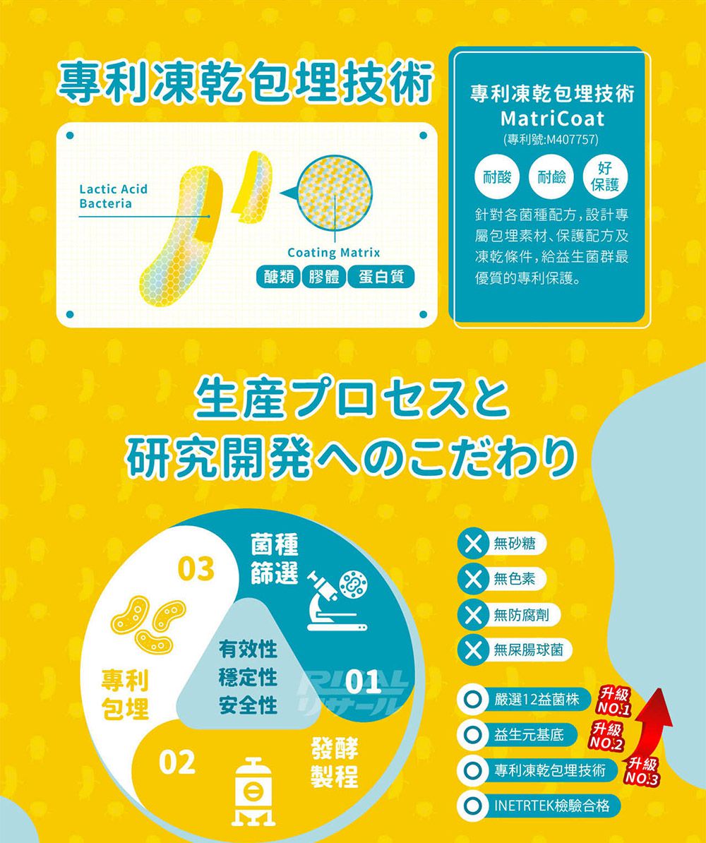 小兒利撒爾Risal - 機能活菌12-30包/盒 x兩盒組(無添加砂糖升級版)-30包/盒
