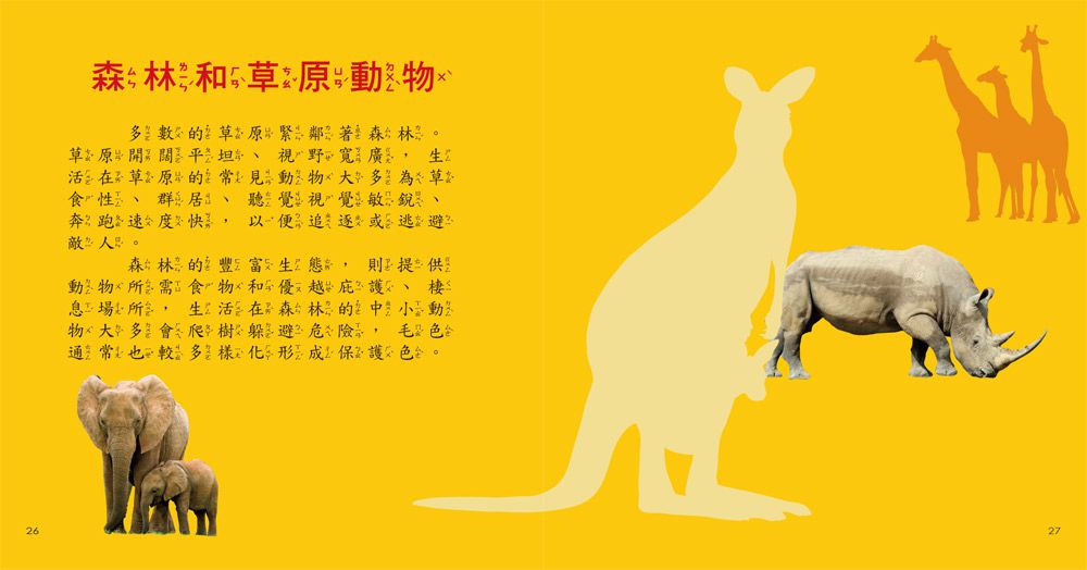 我的第一本動物博士小百科NEW-1本小百科+12款動物學習模型+收納袋