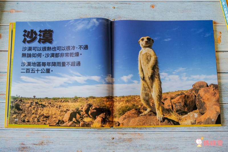 小小動物探險家 (精裝 / 128頁 / 全彩印刷)